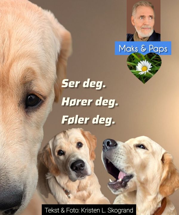 Forklart eller forstått?