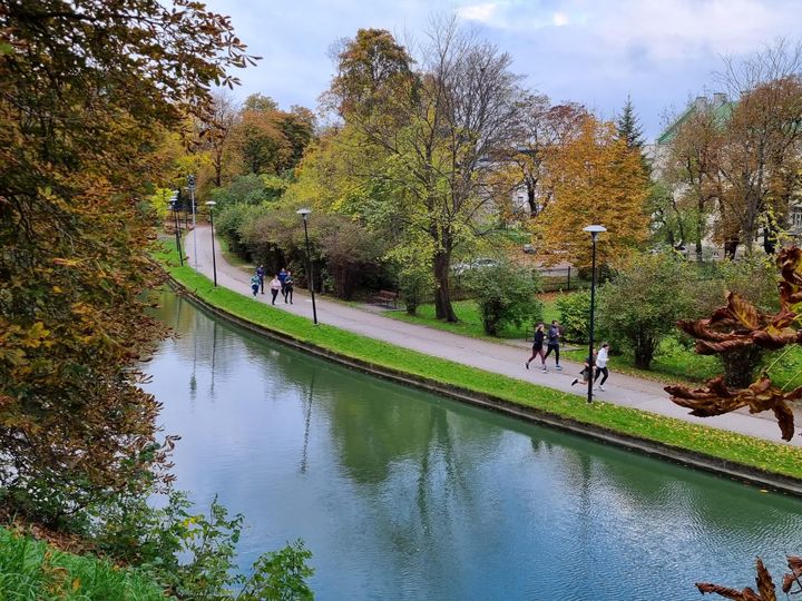 Group of runners running in Snelli park in Tallinn in autumn weather