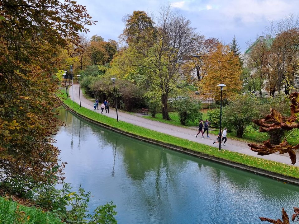 Group of runners running in Snelli park in Tallinn in autumn weather