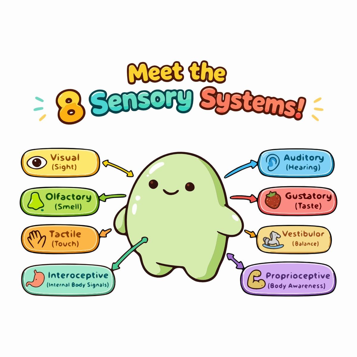 Beyond the 5 Senses: Understanding the 8 Sensory Systems