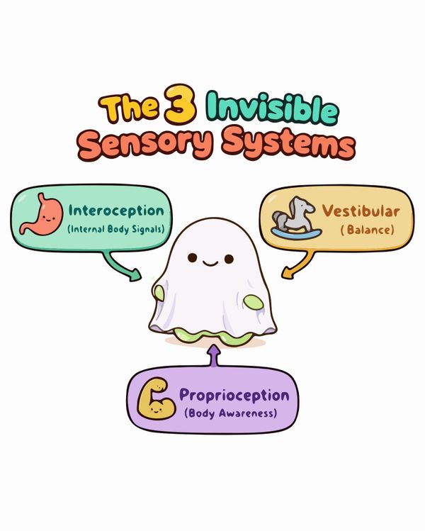 The 3 Invisible Sensory Systems: Proprioception, Vestibular, and Interoception