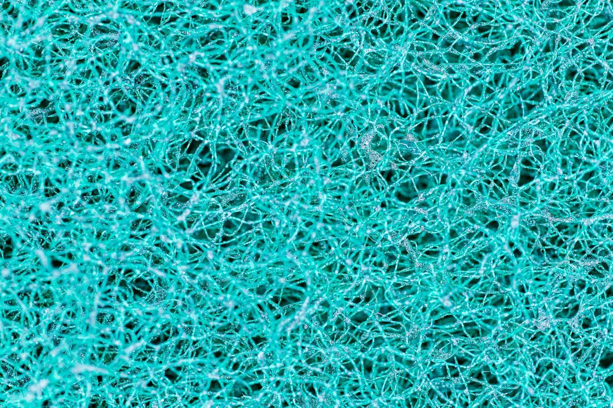 What my 16-month-old neuroscientist can teach you about learning