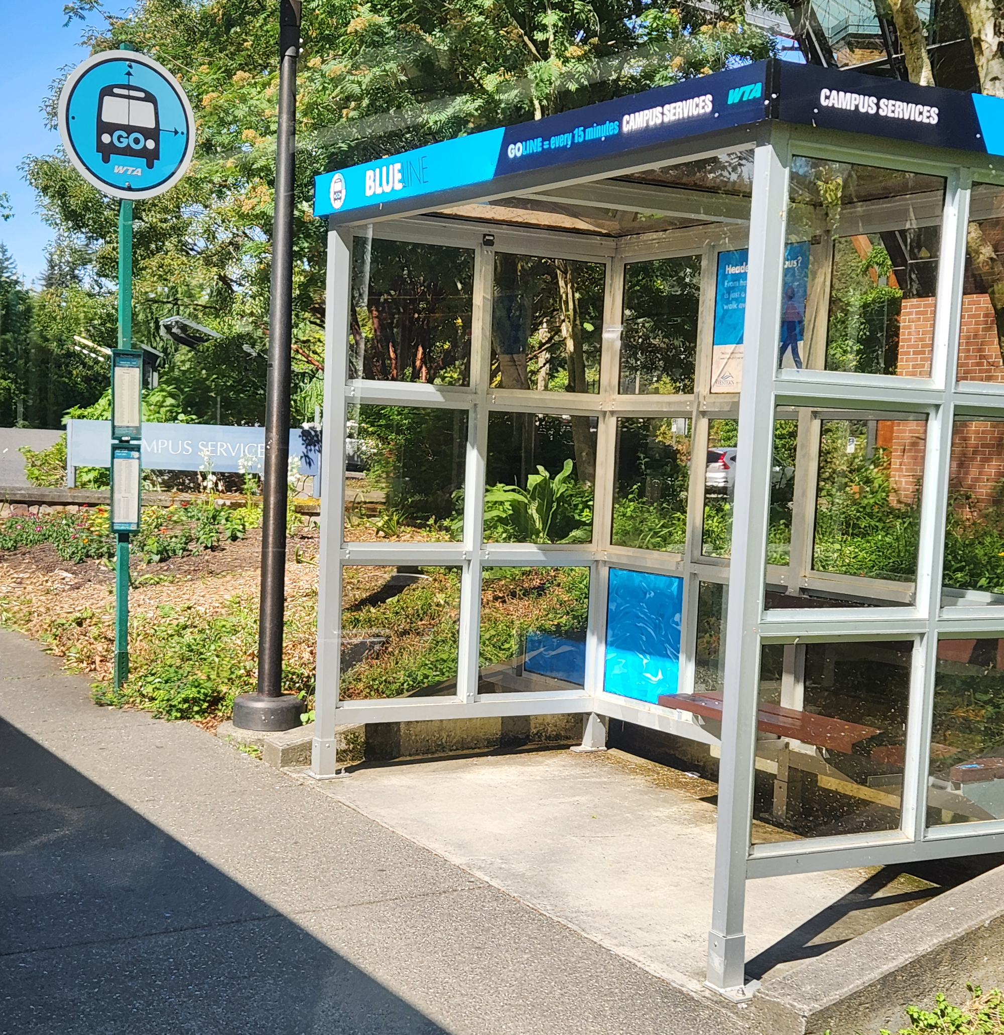 A bus shelter with a WTA Blue GO Line bus stop sign.