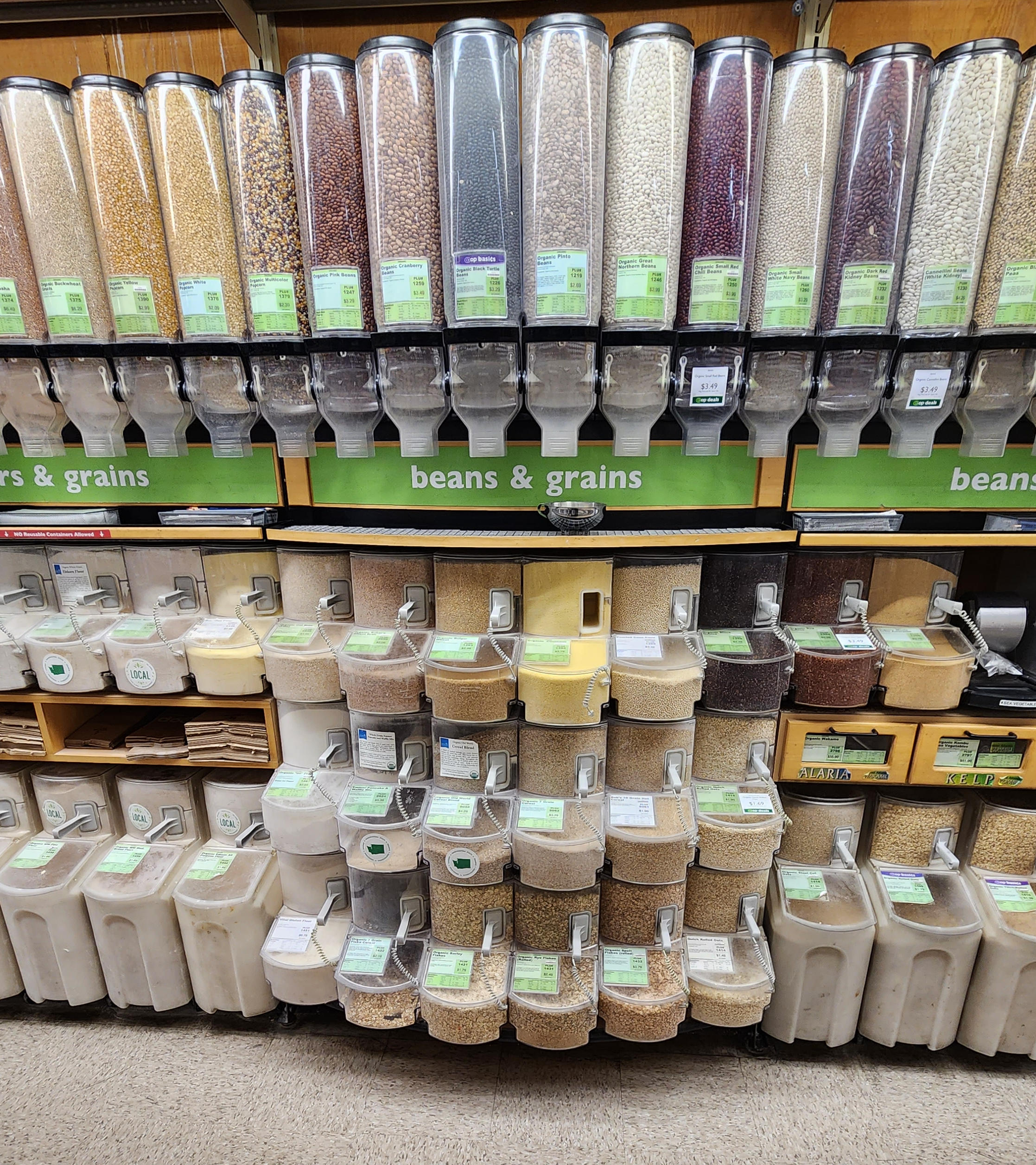 A long row of bulk buns with various beans, grains, flours and spices.