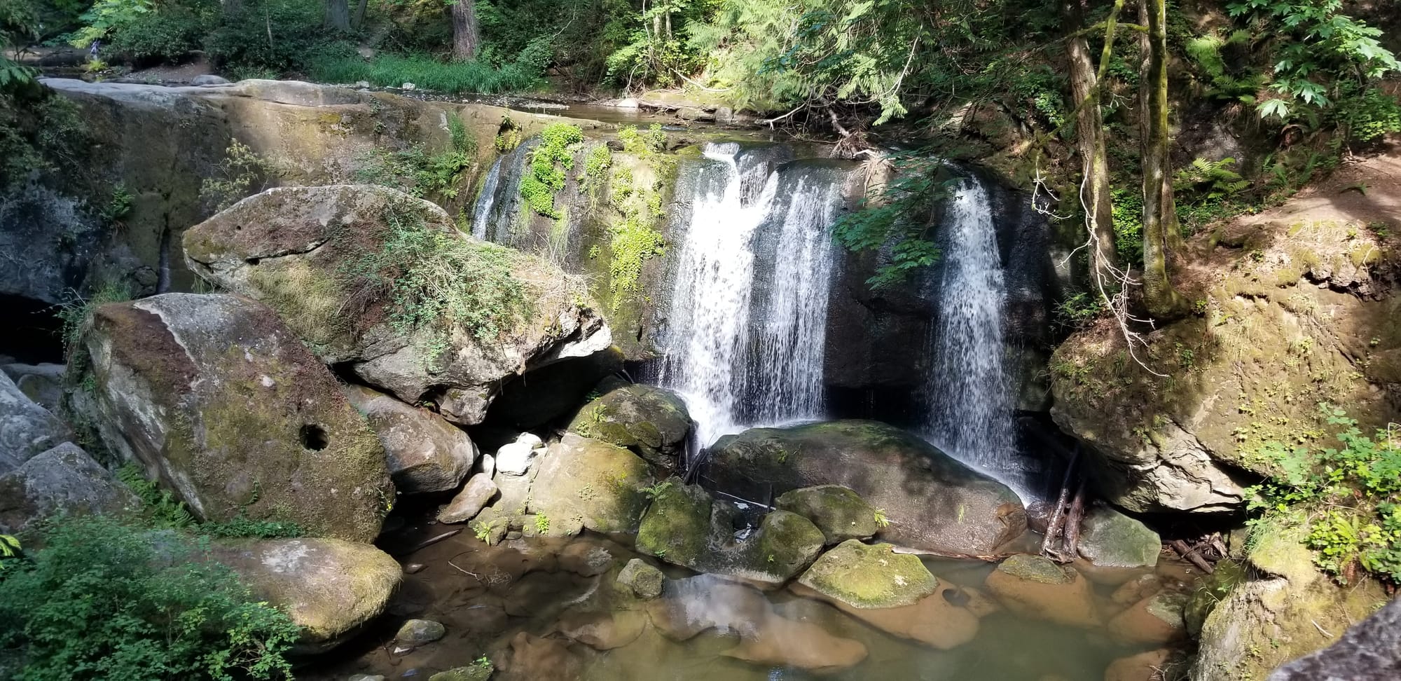 The waters of Whatcom Creek cascade over Whatcom Falls.