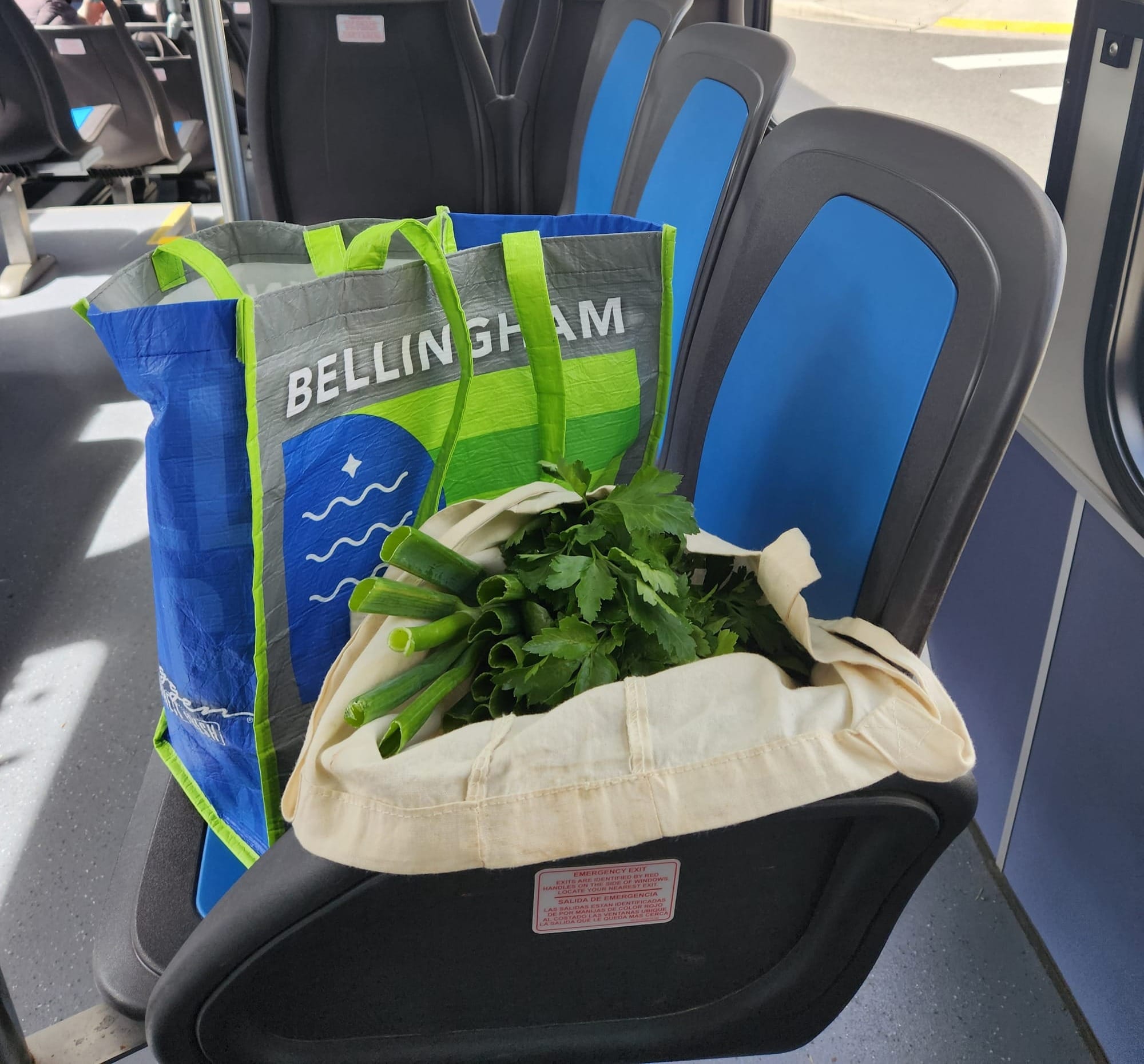 A bag full of produce sitting on a blue seat aboard a WTA bus.