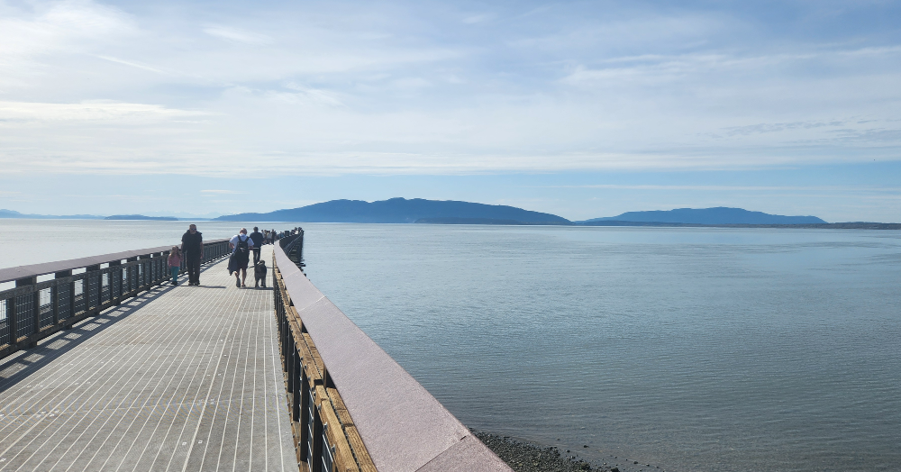 The view of Lummi Island from Little Squalicum Pier.