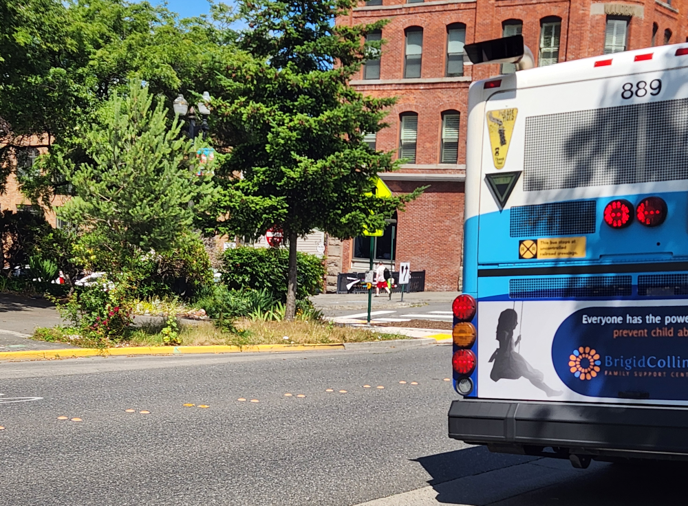 The back of a bus, at right, with a tree blocking the view of a flashing crosswalk beacon at left.