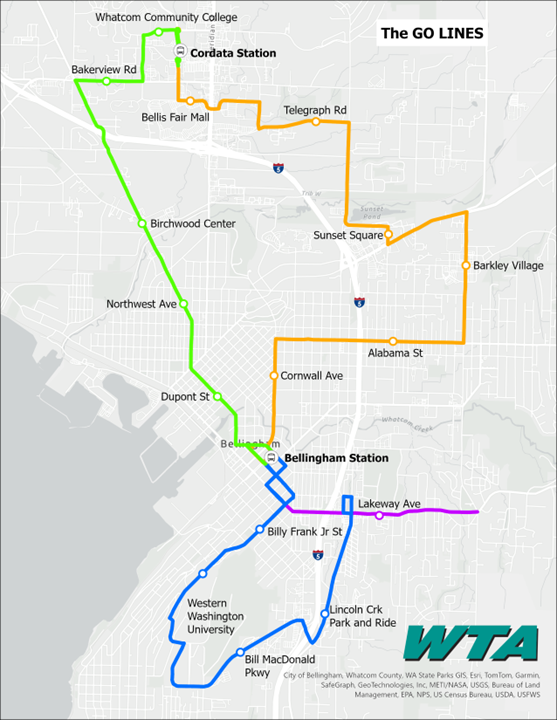 A WTA map showing the Blue, Gold, Green, and Plum GO Lines in Bellingham.