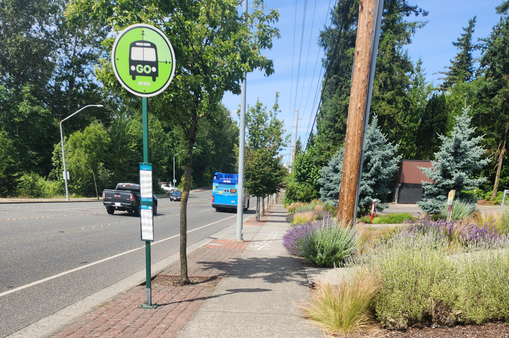 A green GO line bus stop side along a busy road with a blue bus in the distance.