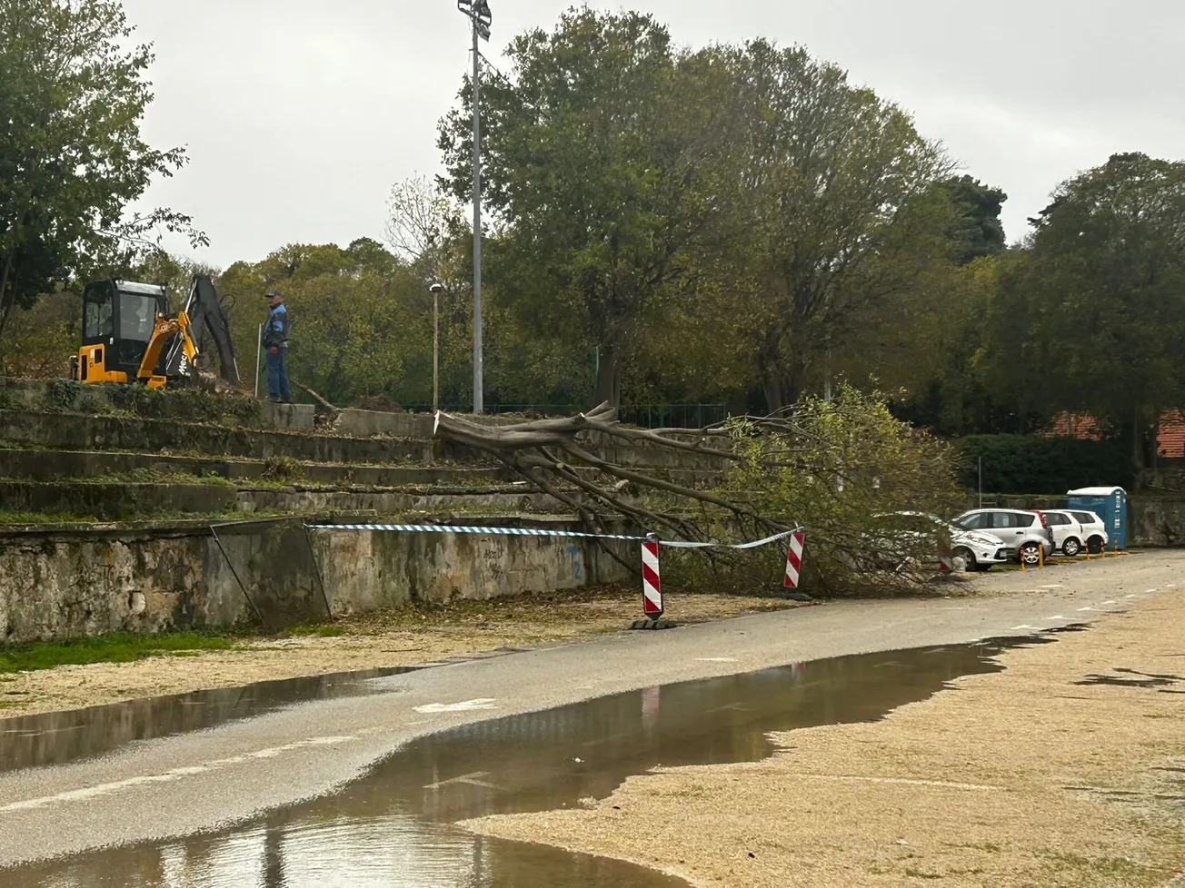 ZADARSKI MASAKR MOTORNOM PILOM: Erlićeve pile nad stablima na Ravnicama "koja neće pasti" - Obećanja i laži najbahatijeg gradonačelnika