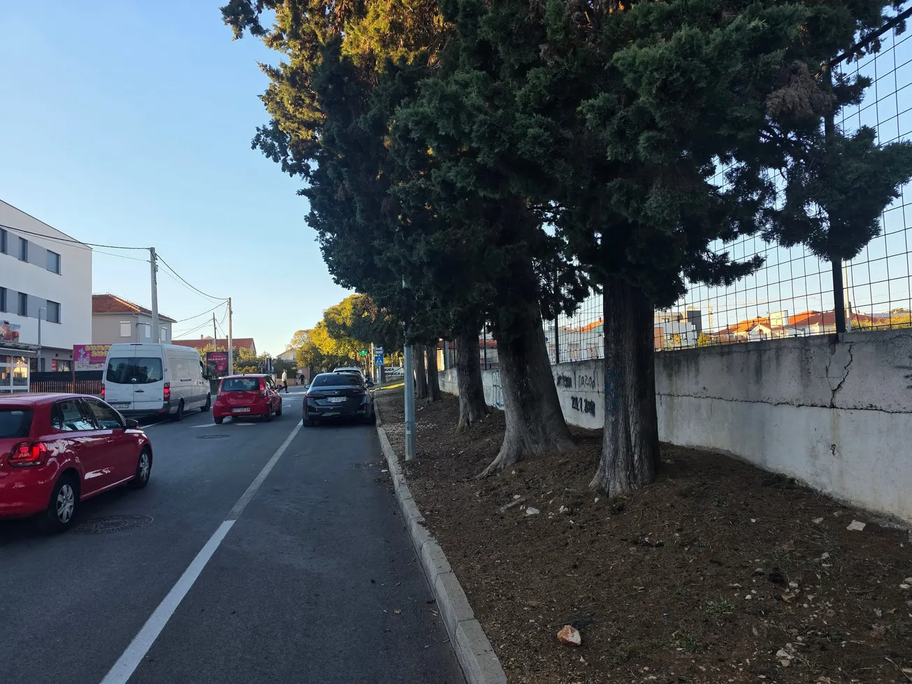 FOTOGALERIJA - HDZ-ovcima nije za vjerovati: Povijest laganja o "zaštiti stabala" na Relji, u Vruljici,  Kolovarima, na Poluotoku i na drugim lokacijama rezultirao je njihovim uklanjanjem