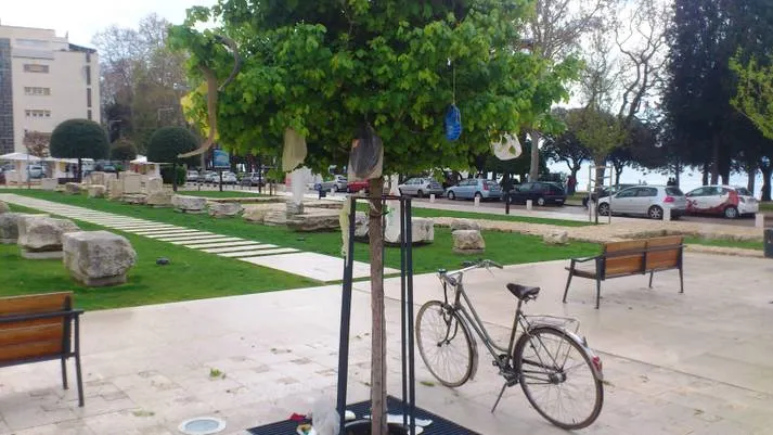 Aktivisti udruge Eko Zadar ‘kitili’ stablo na Poljani Ivana Pavla II.