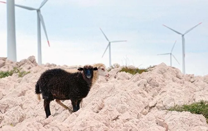 Vjetroelektrane mogu dostići i snagu nuklearke