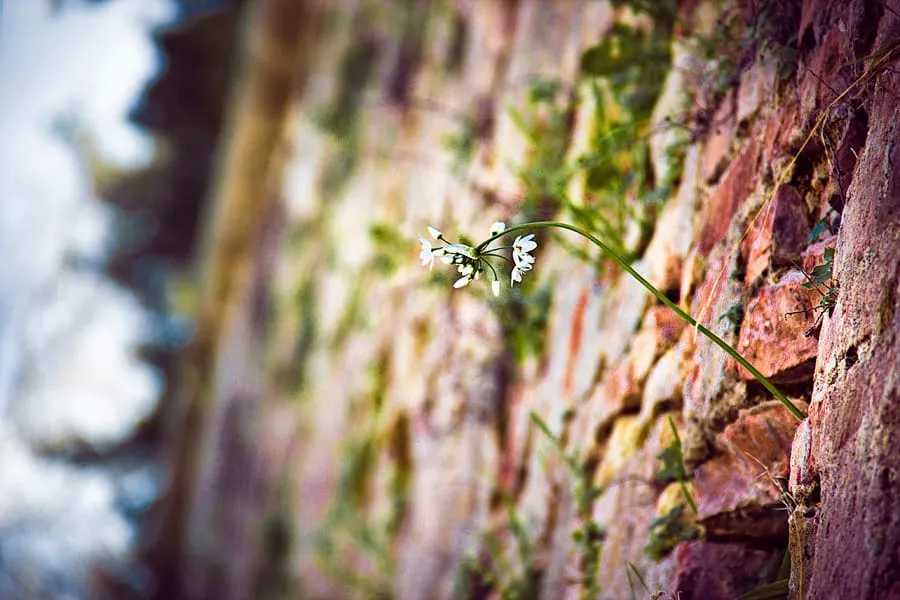 FOTO – Šetnja gradom kroz objektiv Kristine Vlakić, drugi dio