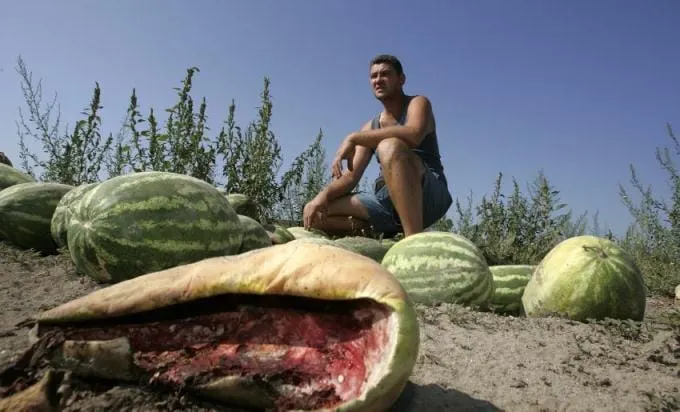 Proglašena elementarna nepogoda za Zadarsku županiju – štete veće od 42 milijuna kuna