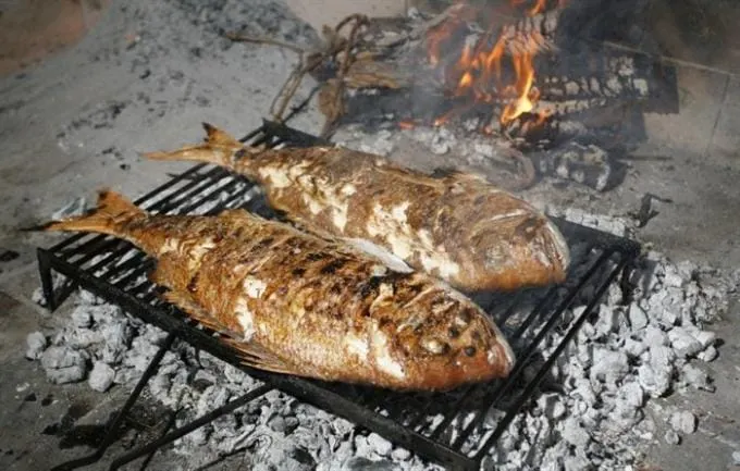 Pekao ribu pa mu nervozni susjed prolio vodu kroz dimnjak na roštilj