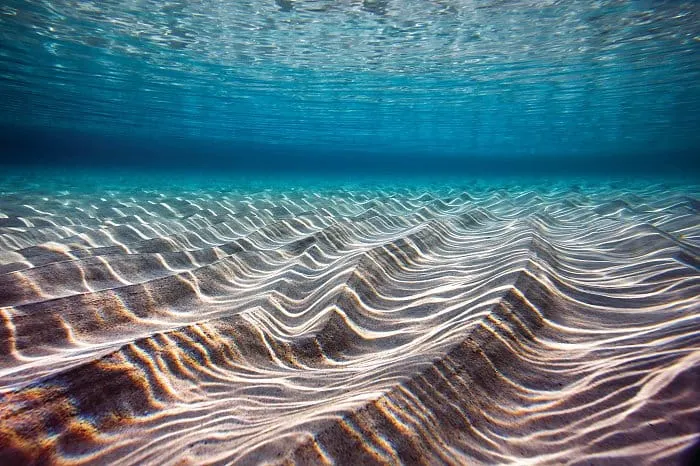 Borisu Kačanu prva nagrada National Geographica