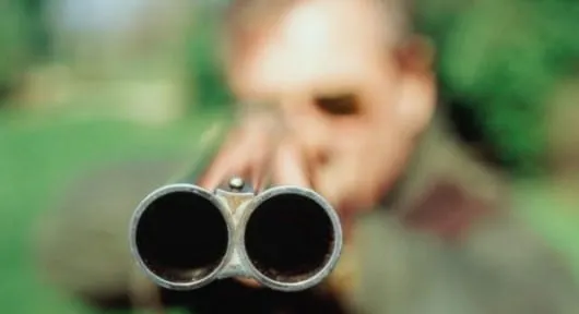 HDZ-ovac upucao psa: ‘Pukao sam i pucao sam’