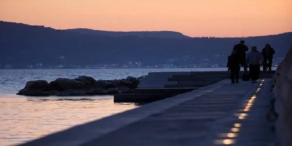 Foša: Vlasnica psa kojeg je ubila struja optužuje – ovo nije prvi put