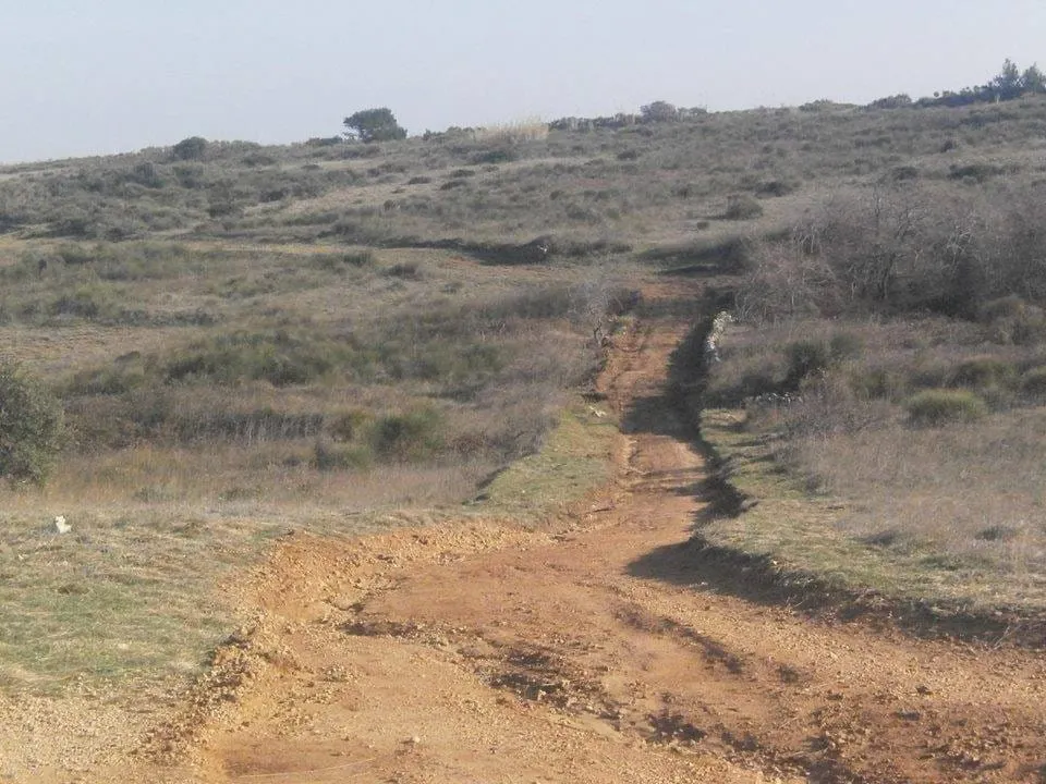 Revitalizacija „Zapadnog polja“ na otoku Viru
