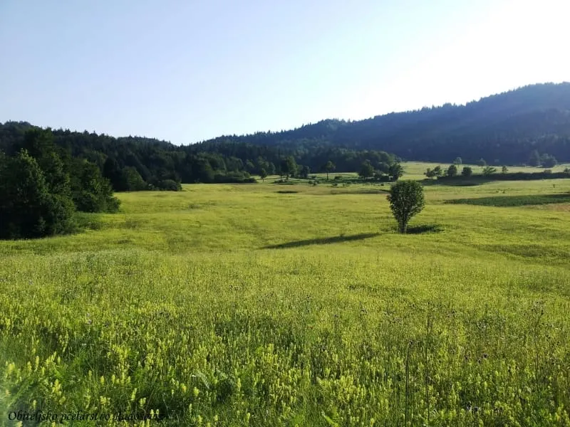 KOLUMNA Roko Jurlina: Prokleti hrvatski mentalitet