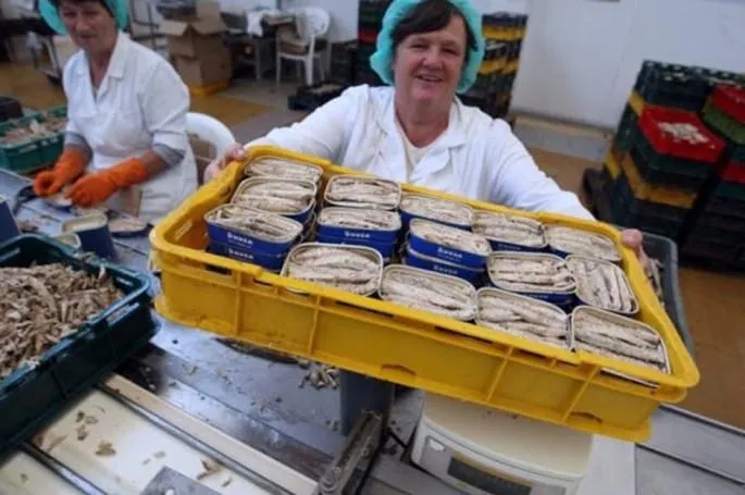 Sindikat PPDIV-a: Ako Adria ne nađe strateškog partnera s 40 milijuna kuna – odlazi u stečaj