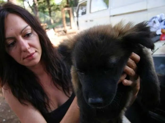 Grad od 2012. ne daje novac za azil, a morali su raskinuti ugovor sa šinterom