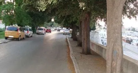 NEMA POTREBE ZA OGRADOM Kasap ne misli da je Muraj opasan za šetnju!