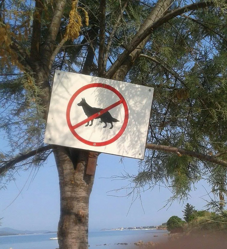 Ni na biogradsku plažu više se ne smije s ljubimcima