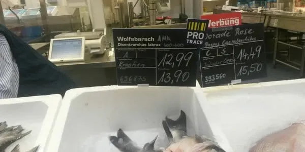 Na njemačkoj “peškariji” riba iz Zadra