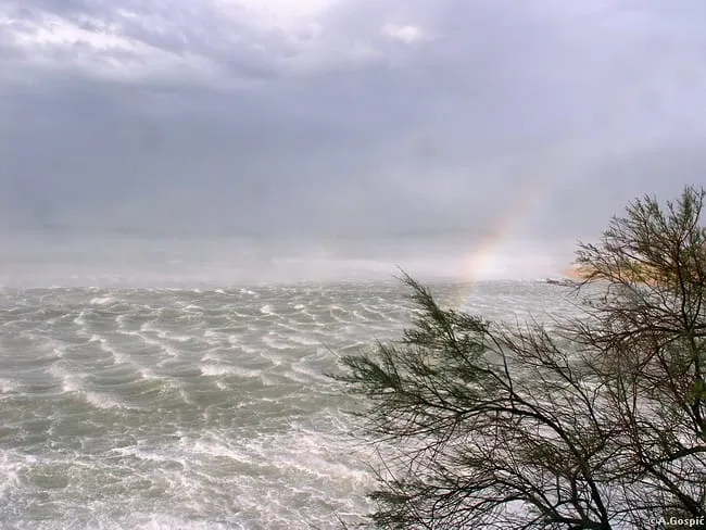 U Jasenicama bura dere 166 km/h, za vikend čak 22 stupnja!
