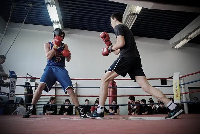 Pobjeda Nikole Stipčevića u Njemačkoj