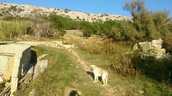 Prekinuta potraga za planinarom, javio se ‘živ i zdrav’
