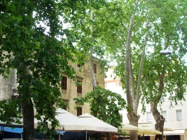 OraH u obranu platana: radije smanjite terase