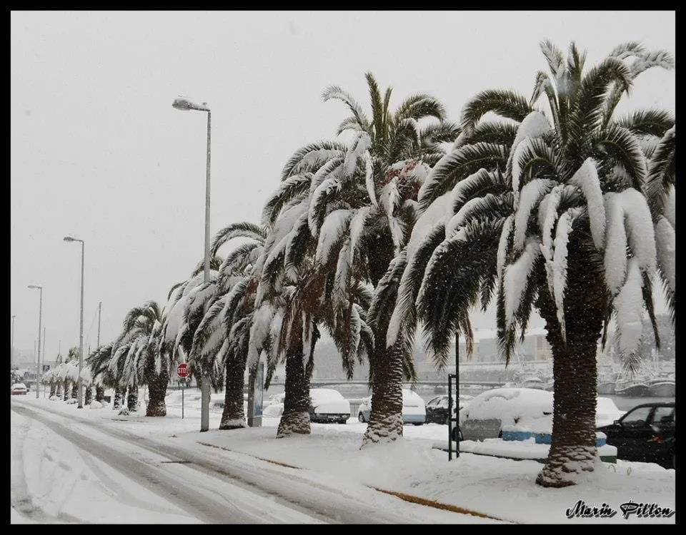 FOTOGALERIJA – U Zadru snijeg već od ponedjeljka?