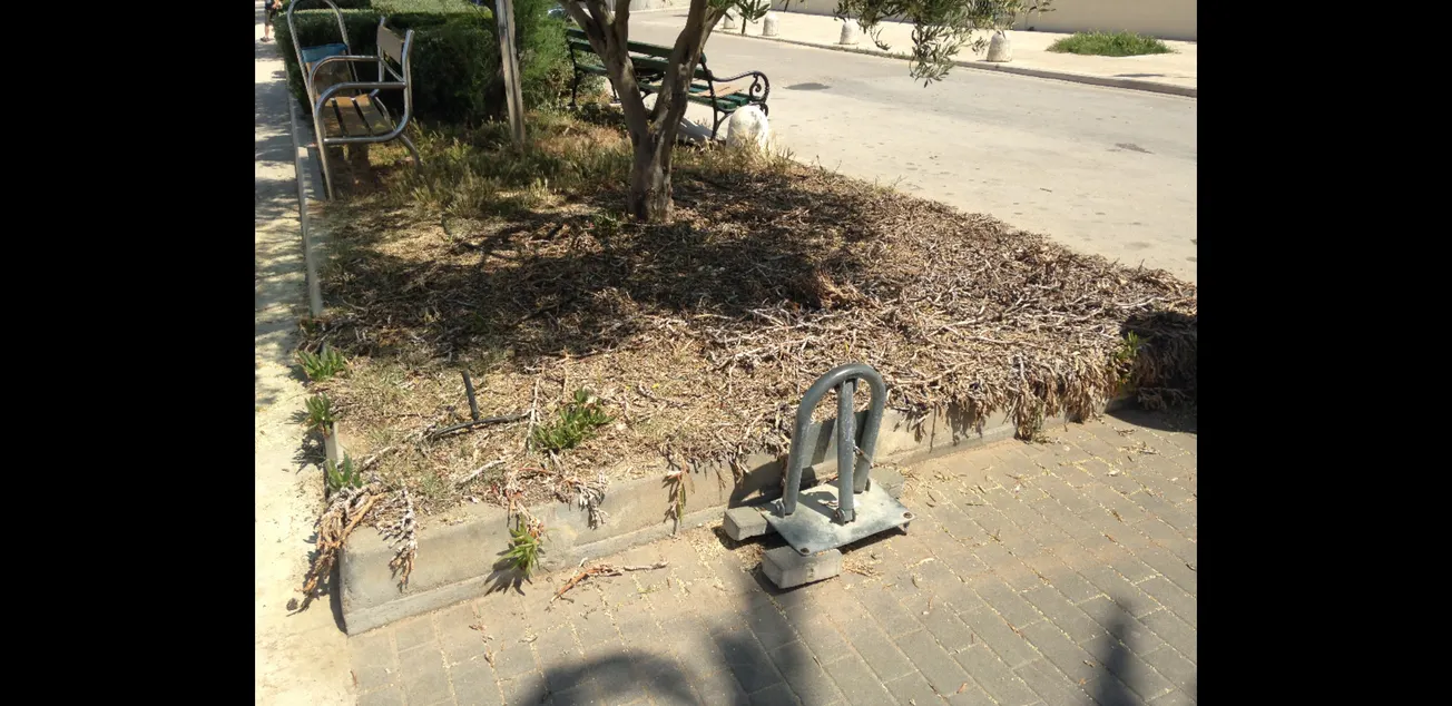 Nasadi odgovorili M.O. Petrčane: nemojte nas neosnovano optuživati kada niste fitopatolozi i entomolozi