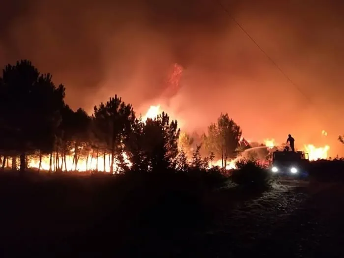 Gori na Pagu, kod Benkovca i na još dva mjesta, olujna bura i mrak otežavaju gašenje