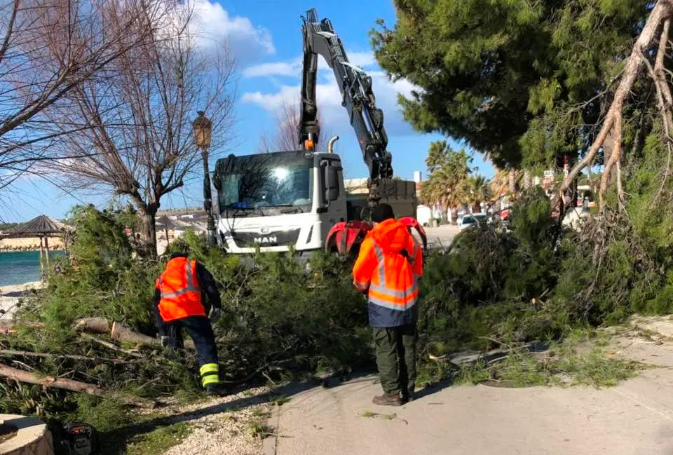 Orkanska bura polomila je i iščupala stabla po cijelom otoku Viru, izazvala je oštećenja na obiteljskim i vikend kućama
