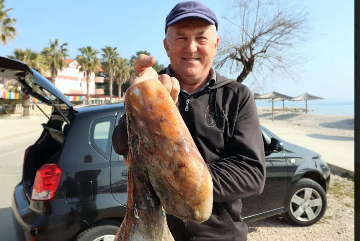 Virski ribič Mario Kapović uhvatio je hobotnicu od oko 9 kilograma. Prodao ju je gotovo odmah nakon ulova