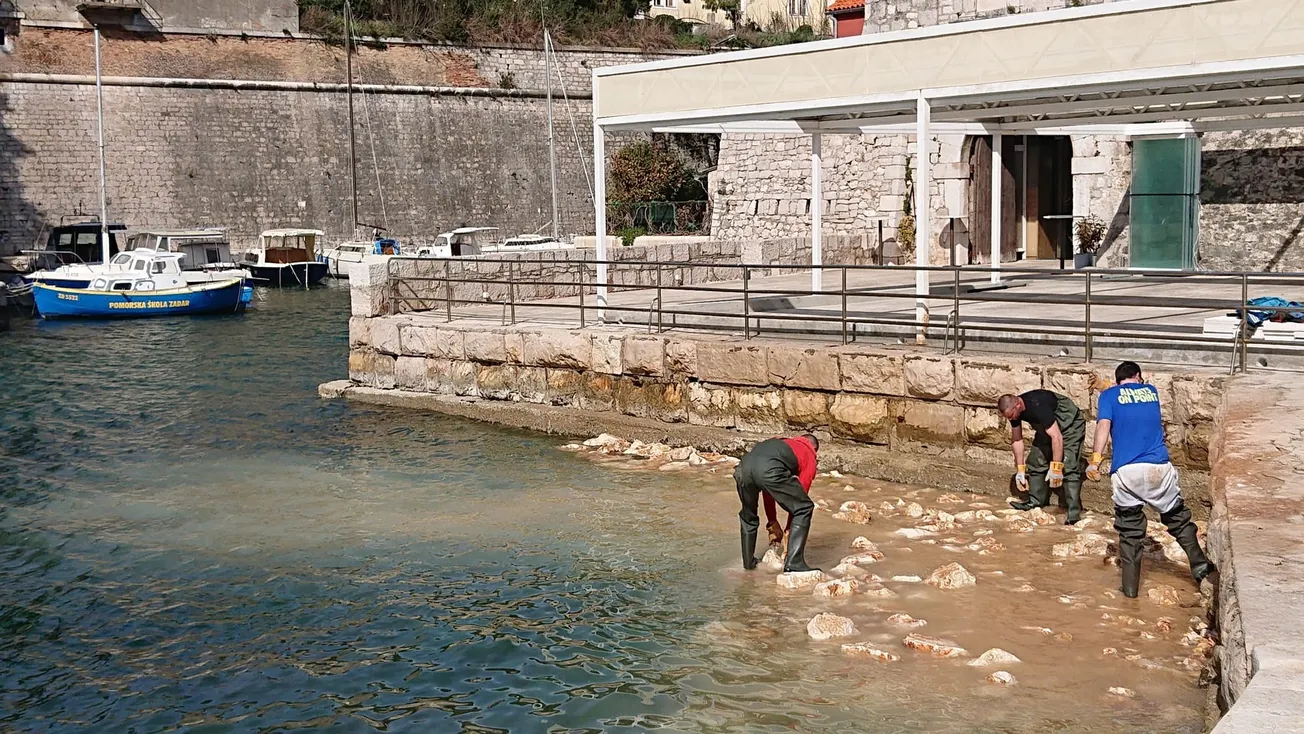 Daniel Radeta: Nasipanje Foše kao nova dimenzija nekulture i devastacije našeg grada
