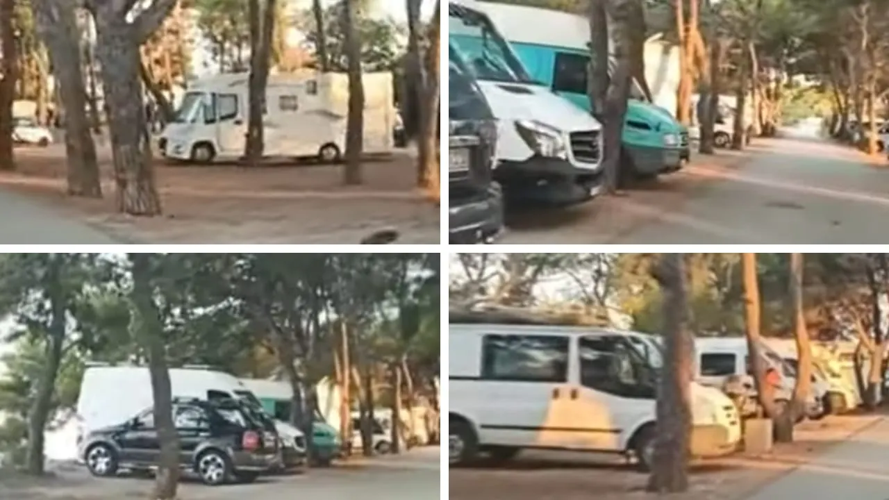 VIDEO – Pogledajte kako ilegalni kamperi ‘muktaroši’ uzurpiraju kamp na Punti Bajlo, pročelnik Dujela šuti