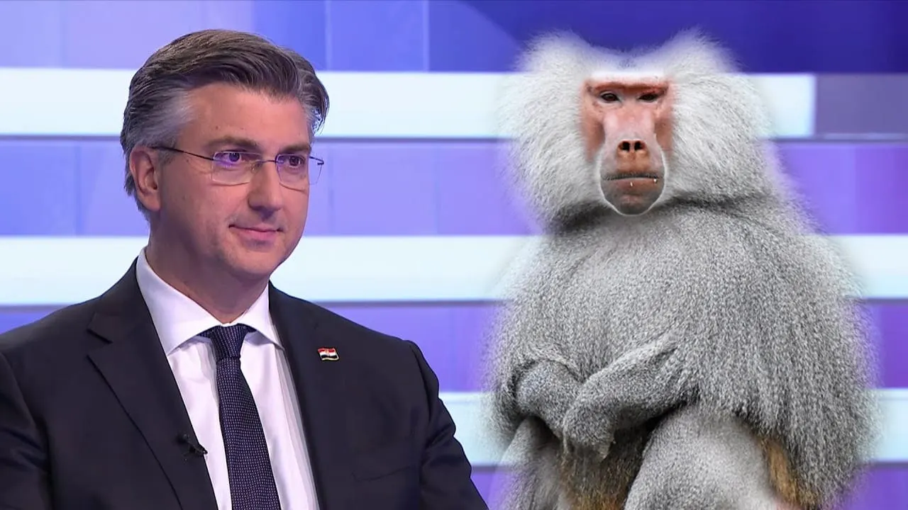 Sven Marcelić se narugao zadarskoj policiji zbog privođenja komentatora: “Percipira vas se kao poltrone”