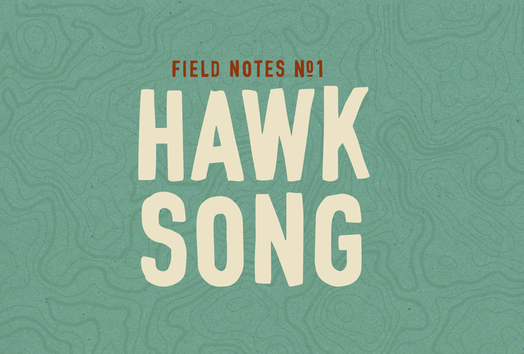 Field Notes #1: Hawk Song