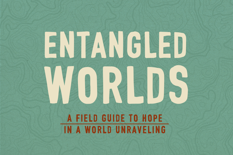 Welcome to Entangled Worlds