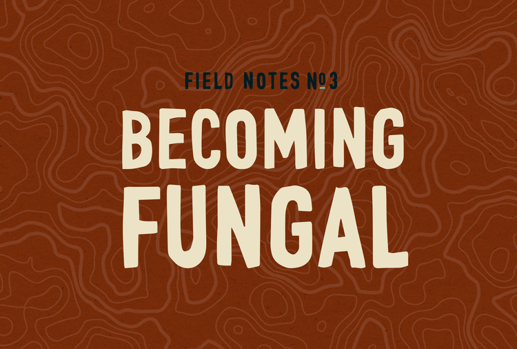 Field Notes #3: Becoming Fungal