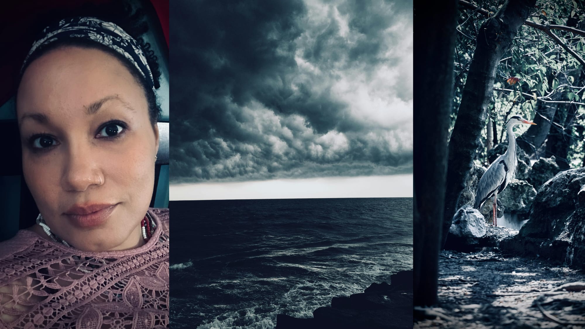 Stormm & Heron