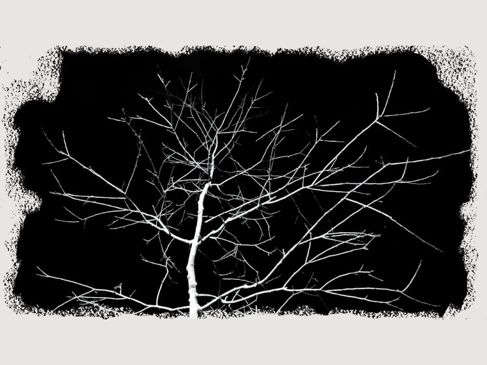 Kouri Richins: The Search for the Poisoned Root (Dark Cinderella Pt. 3)