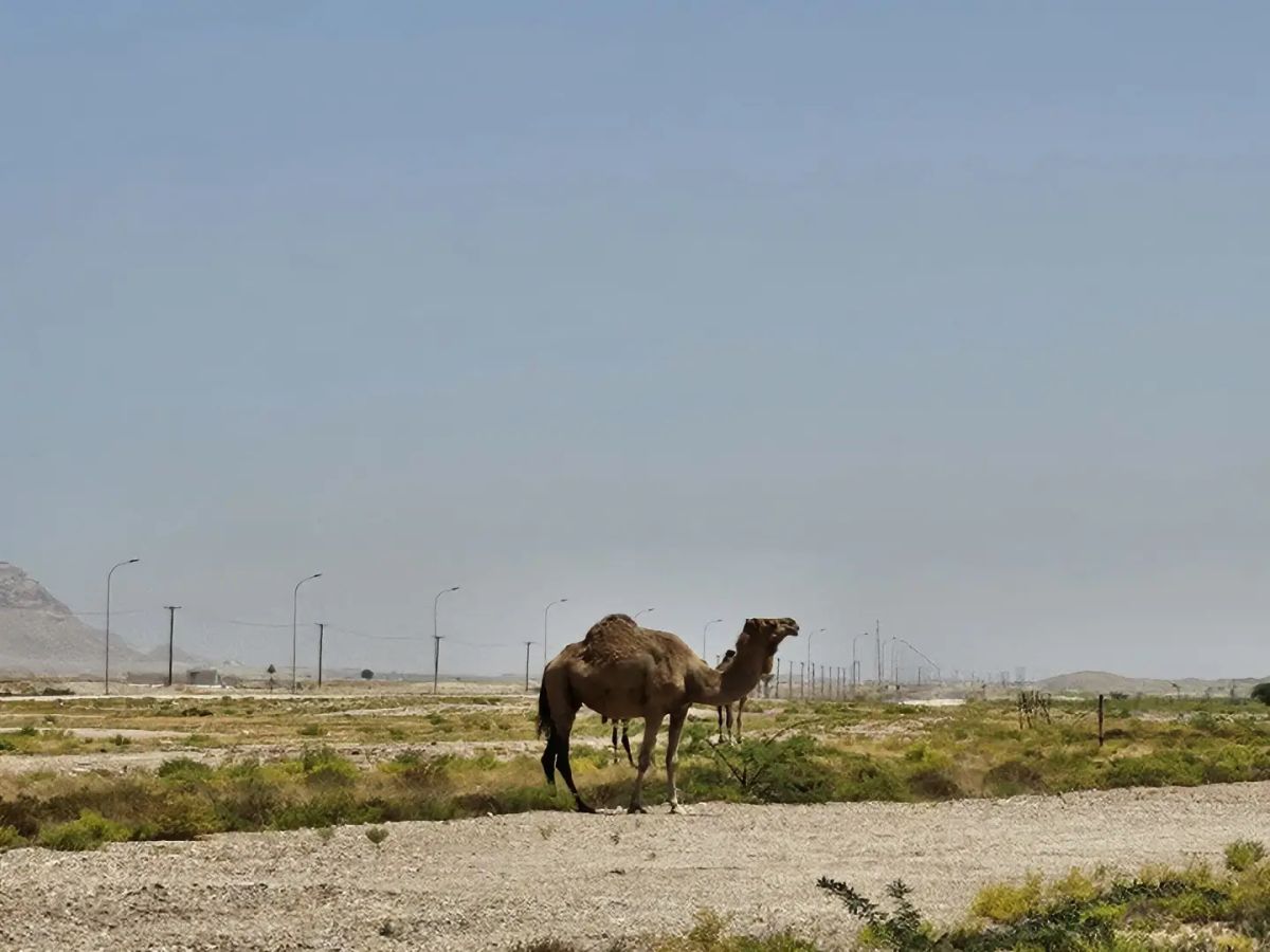 Oman