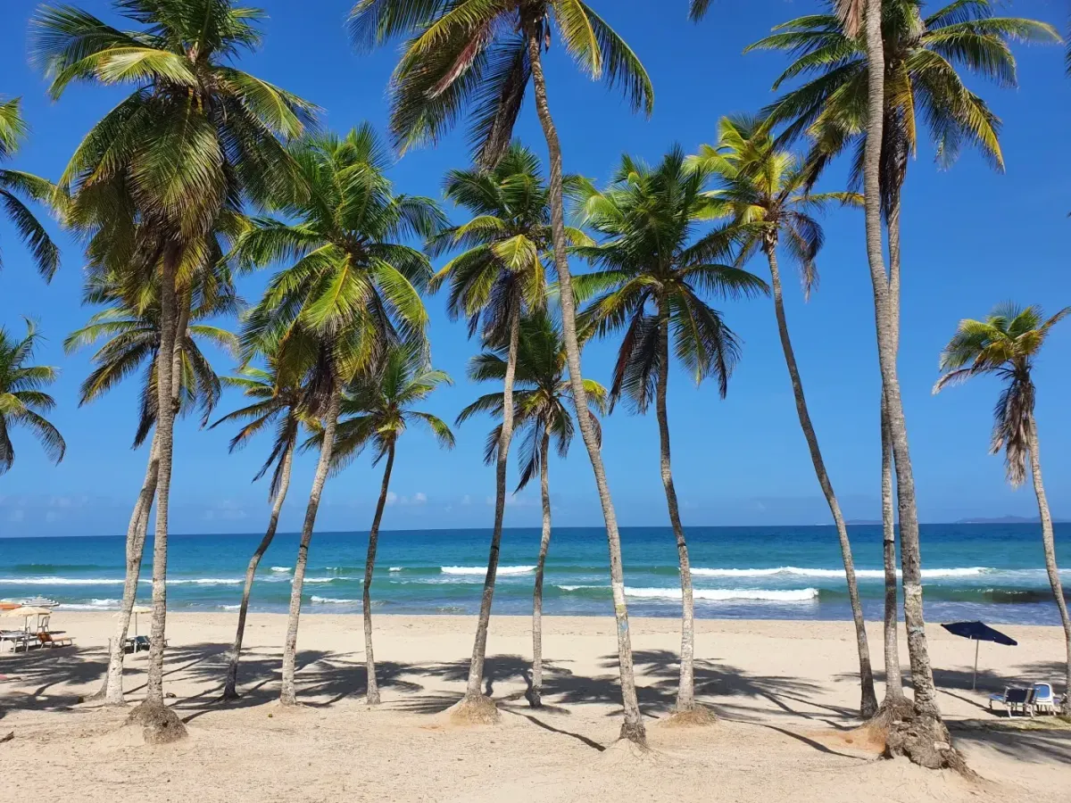 Venezuela, Nueva Esparta State, Caribbean islands: Margarita Coche Cubagua